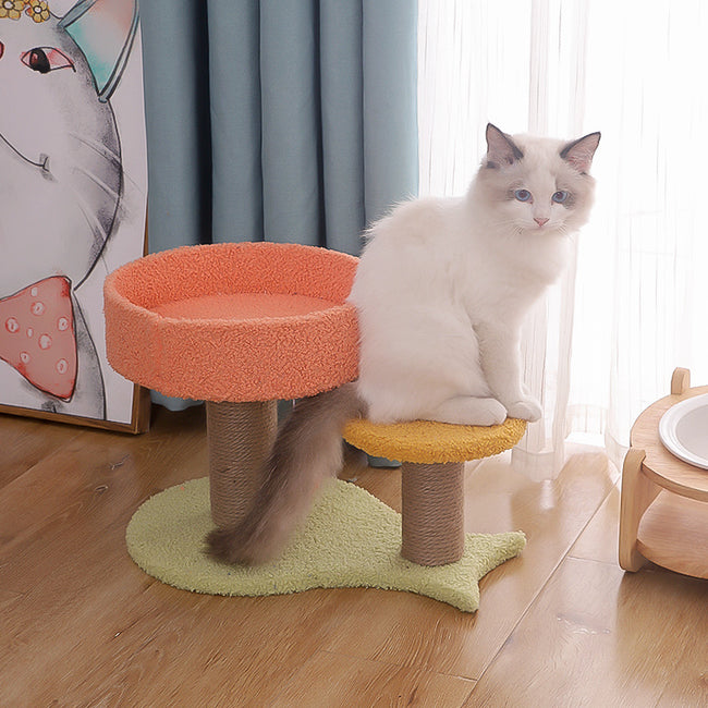 Cat Climbing Frame Cat Climbing Frame Cat Nest Cat Tree One Tongtian Column Main Image